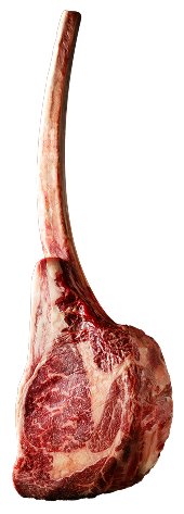 L’EXCELLENCE AU SERVICE DES PROFESSIONNELS